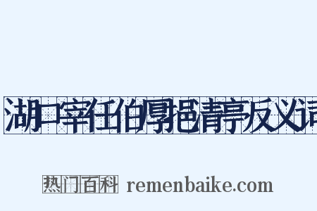 湖口宰任伯厚挹清亭反义词是什么意思的图片
